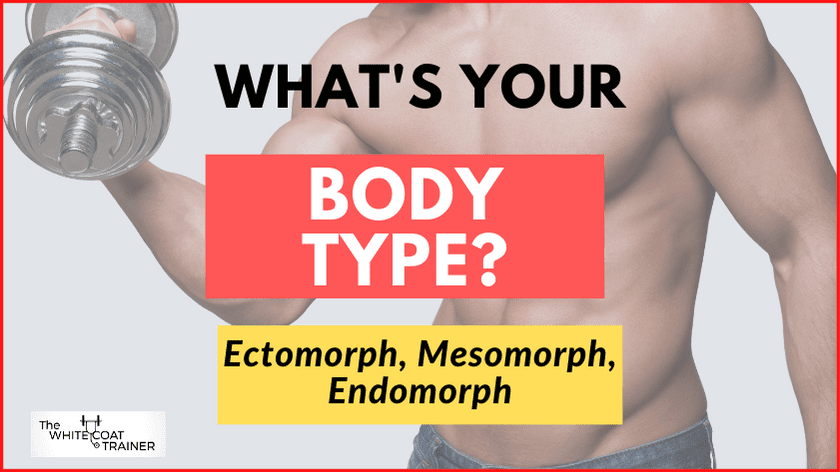 whats your body type cover image