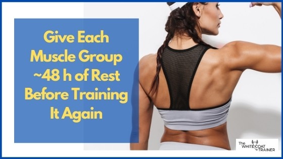give each muscle group ~48h of rest before training it again