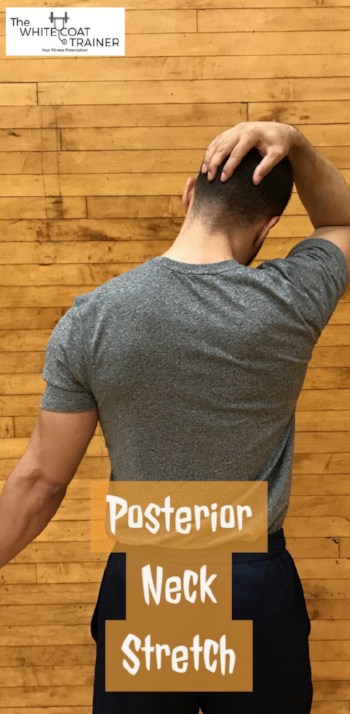 The Best Posture Correction Exercises Proven Methods The White Coat Trainer