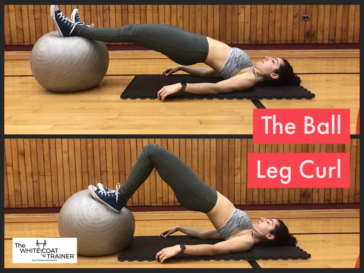 ball-leg-curl: Brittany on her back with knees bent and feet on top of a bosu ball  Squeezing her butt muscles to extend at the hips as she flexes her knees back to bring the ball closer to her
