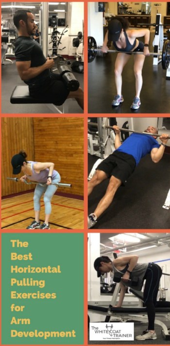 the best horizontal pulling exercises for arm development