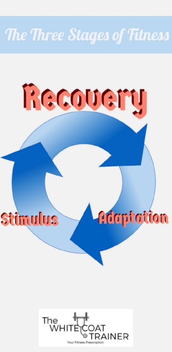 the three stages of fitness: stimulus recovery adaptation