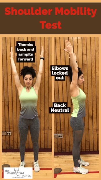 shoulder mobility showing thumbs back and armpits facing forward, elbows locked out, and back neutral