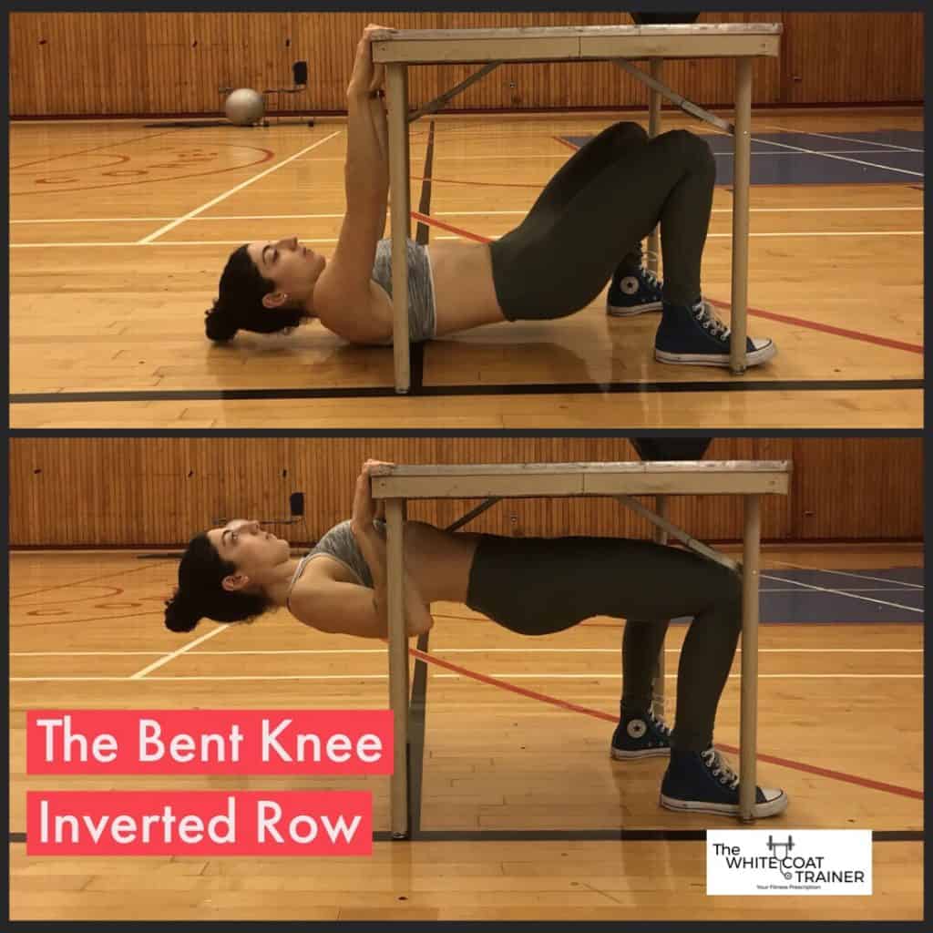 Bodyweight Bar Horizontal rows. a pull up regression 