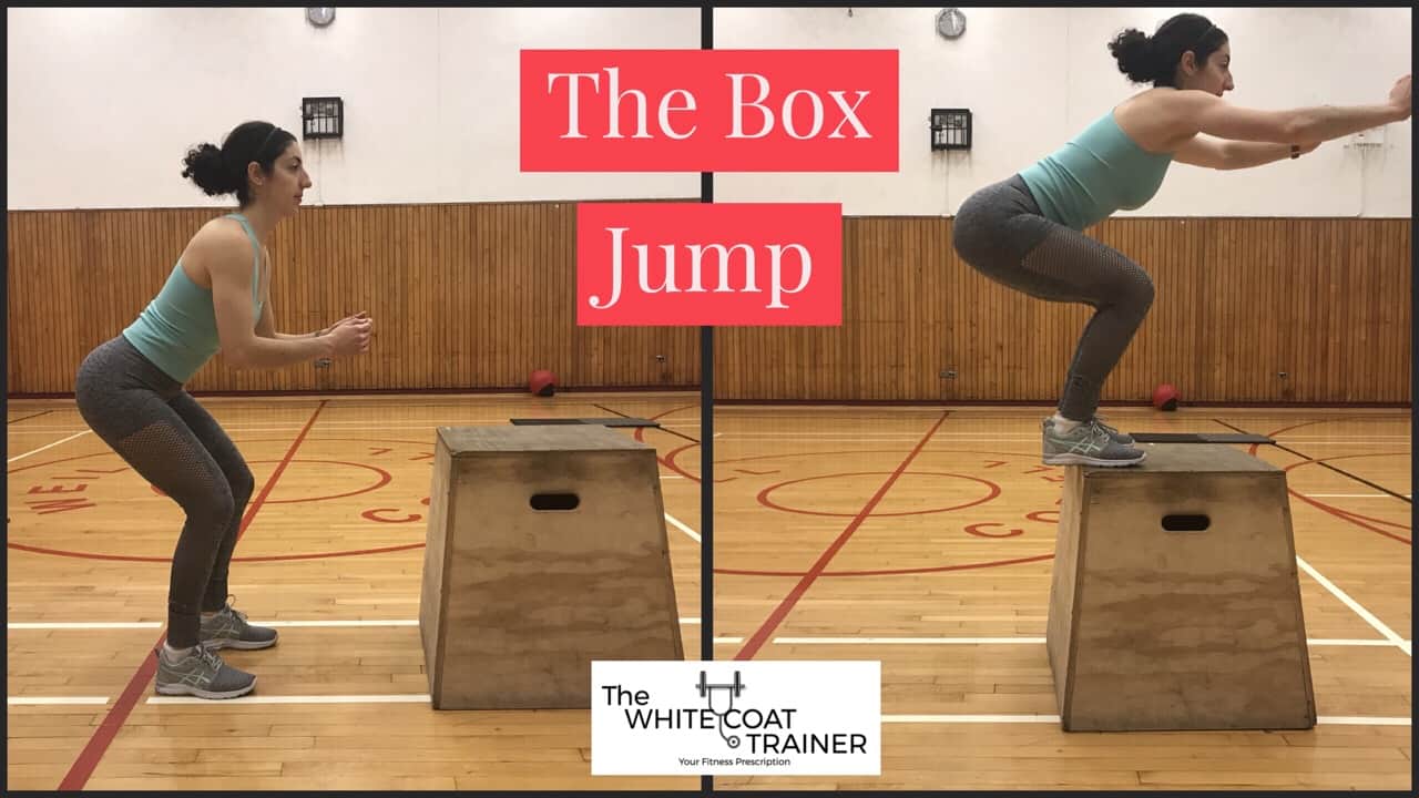 box-jumps: Brittany jumping up to a 24 inch box