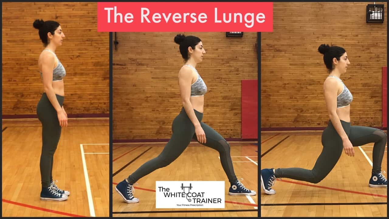reverse-lunge: brittany lunging back with one leg and squatting down