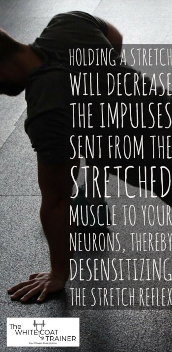 HOLDING A STRETCH WILL DECREASE THE IMPULSES SENT FROM THE STRETCHED MUSCLE TO YOUR NEURONS DESENSITIZINGTHE STRETCH REFLEX