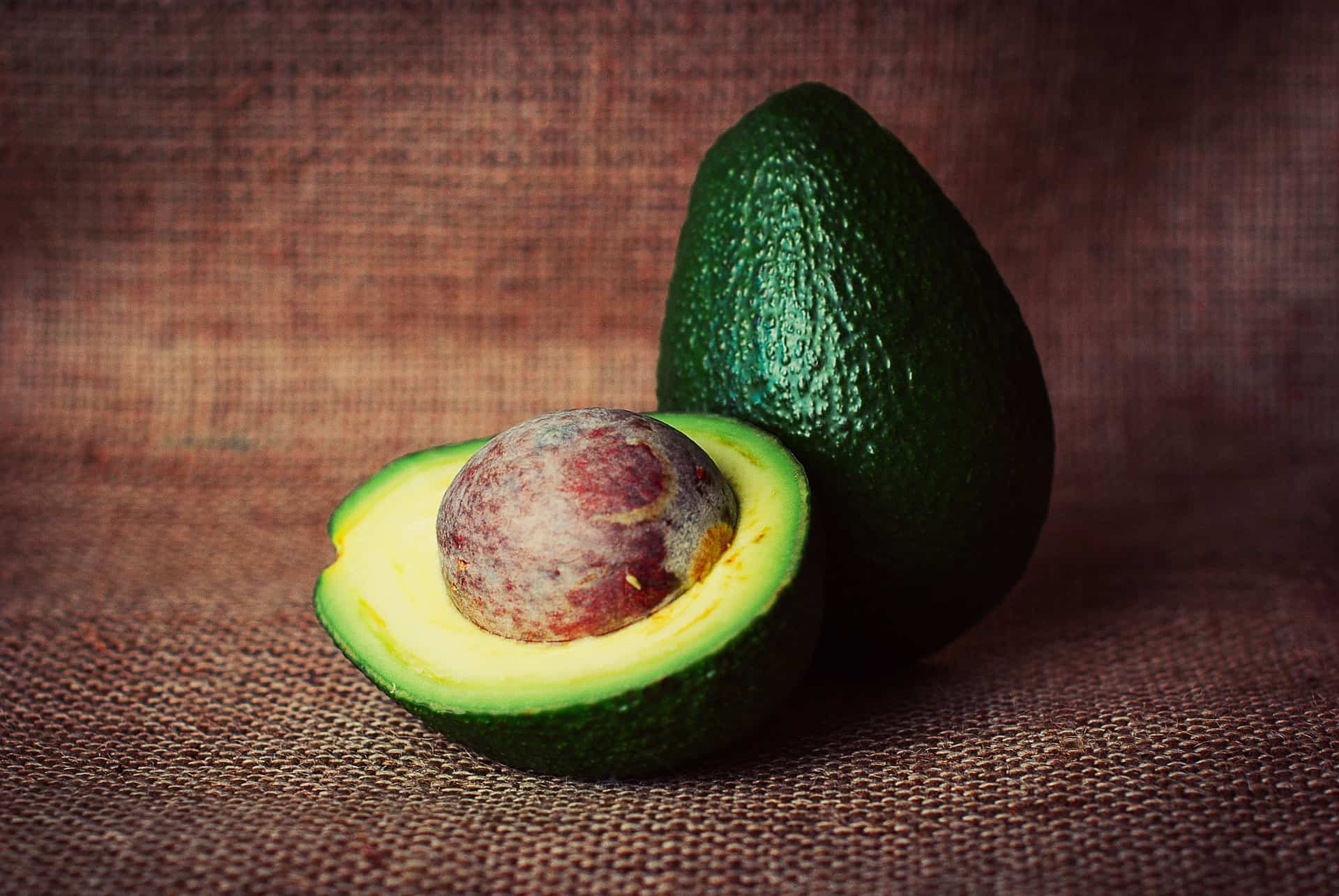 picture of an avocado 
