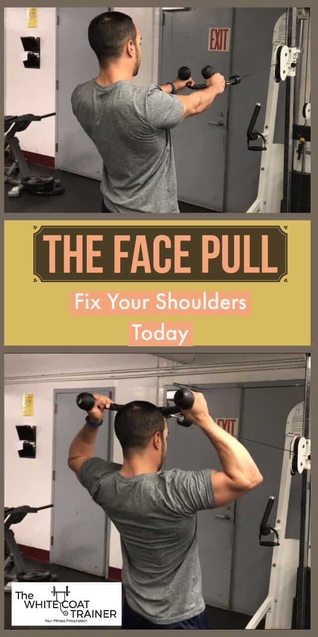 Great Back Exercises