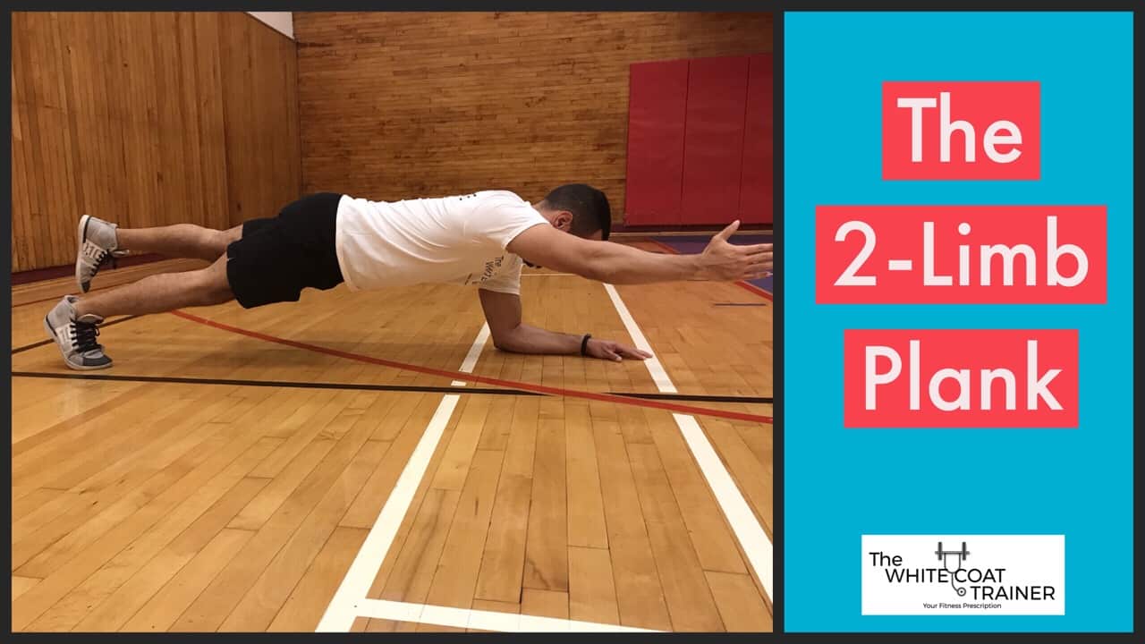 2-limb-plank: alex in a plank resting on his forearms lifting one leg and the opposite arm off the floor