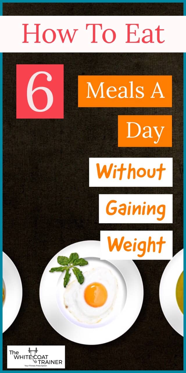 how to eat 6 meals a day cover image