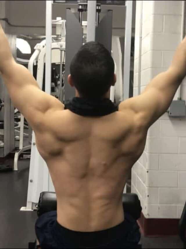 muscular back with size and definition