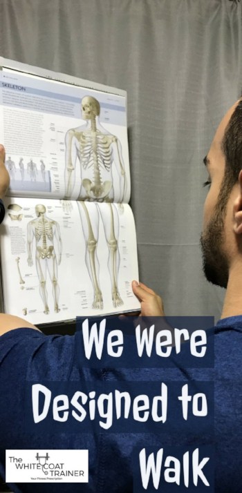 alex looking at a book with the human skeleton with the words 