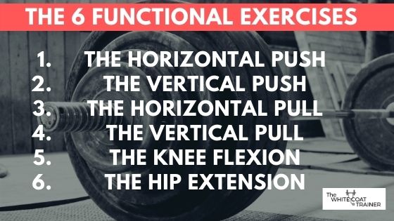 6-functional-exercises-horizontal-push-pull-vertical-push-pull-knee-flexion-hip-extension