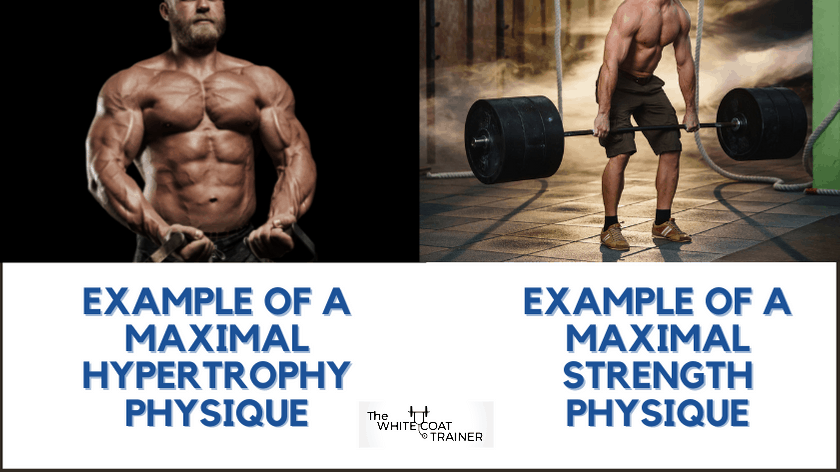 Demon Play at retfærdiggøre Urter Strength Vs Hypertrophy [A Complete Guide On What You Need To Know] - The  White Coat Trainer