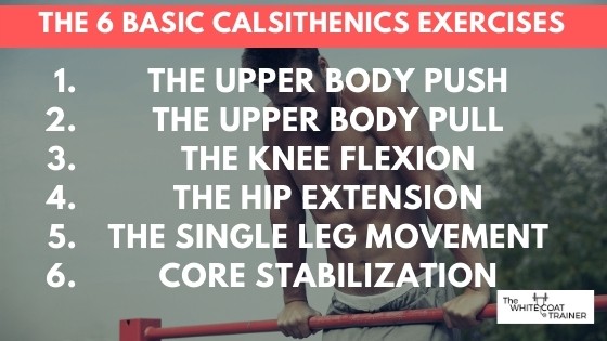 the 6 basic calisthenics exercises:  The UPPER BODY PUSH THE UPPER BODY PULL THE KNEE FLEXION THE HIP EXTENSION THE SINGLE LEG MOVEMENT CORE STABILIZATION