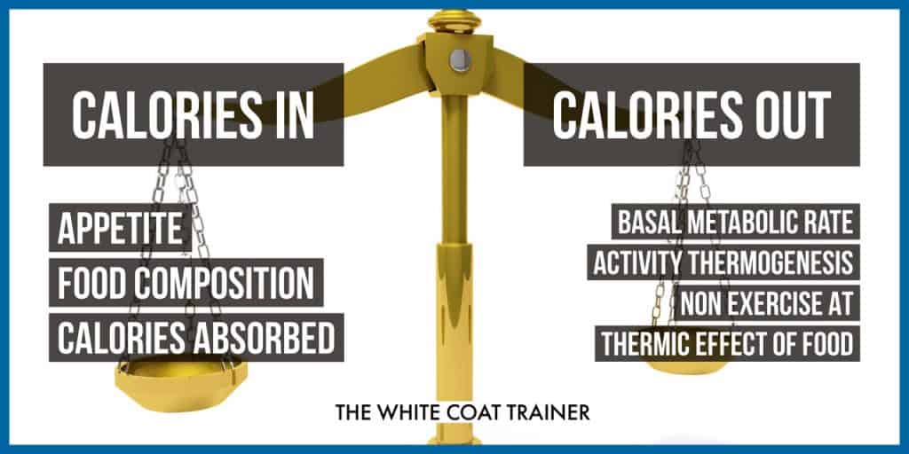 calories-in-vs-calories-out: calories in: appetite, food composition, and calories absorbed: calories out: basal metabolic rate, activity thermogenesis, non exercise activity thermogenesis, thermic effect of food