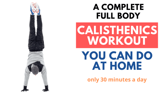 Full body calisthenics discount program