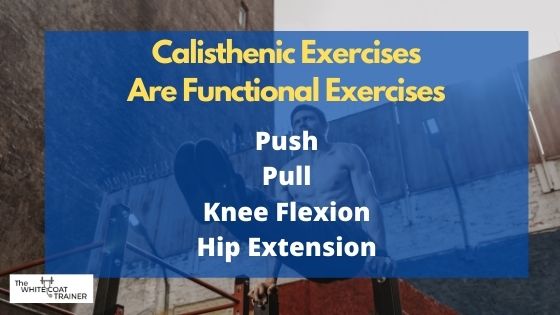 calisthenics-exercises-are-functional-push-pull-knee-bend-hip-extension