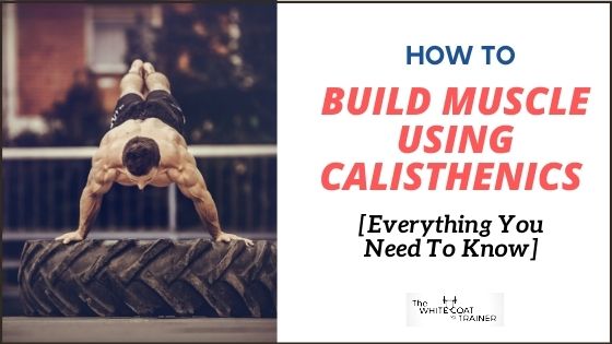 how to build muscle using calisthenics cover image