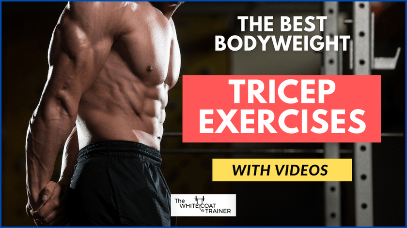 the best bodyweight tricep exercises cover image