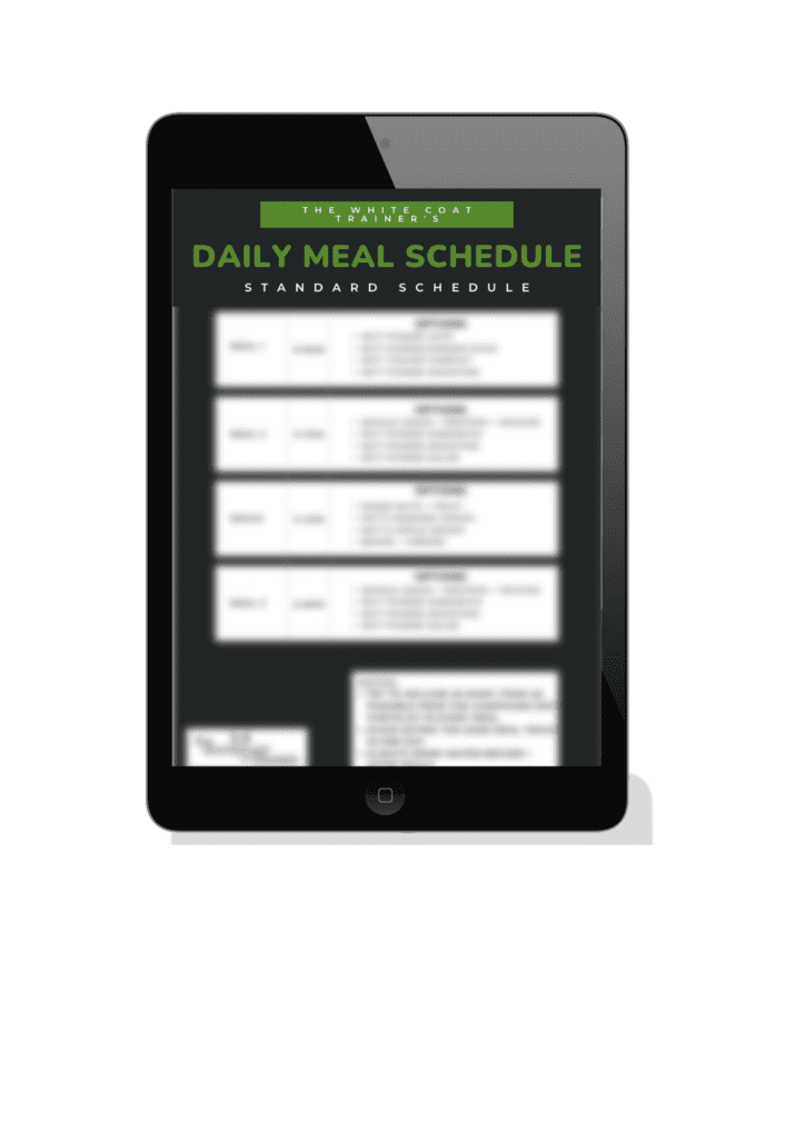 image of ipad showing a sample meal schedule