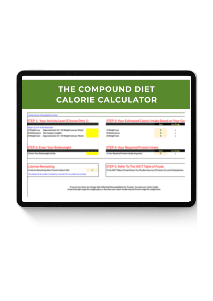 image of ipad showing the calorie calculator spreadsheet