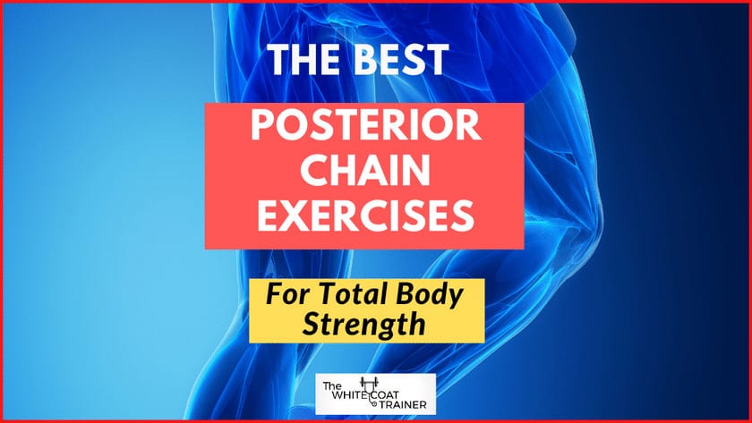 the best posterior chain exercises cover image